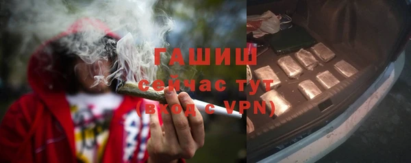 шишки Медногорск