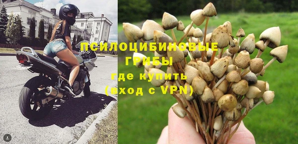 Альфа ПВП Медвежьегорск
