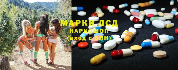 шишки Медногорск