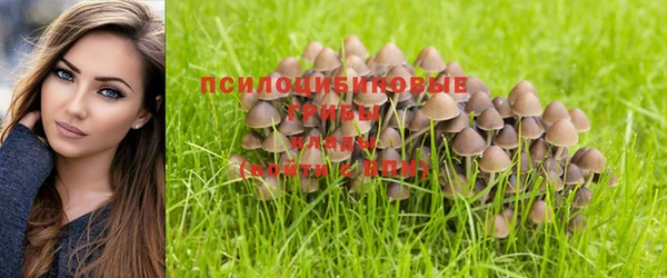 синтетический гашиш Мегион