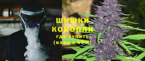 шишки Медногорск