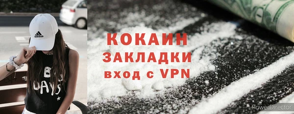 шишки Медногорск