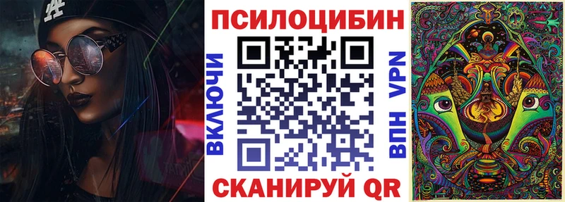 Псилоцибиновые грибы мицелий  Купить закладки  Михайловка 